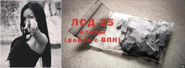 ГАЛЛЮЦИНОГЕННЫЕ ГРИБЫ Новодвинск
