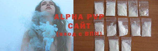 сатива Новокубанск