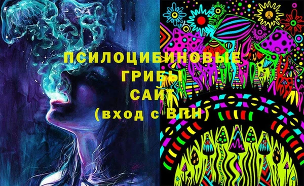 ГАЛЛЮЦИНОГЕННЫЕ ГРИБЫ Новодвинск