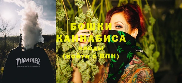 2c-b Новозыбков