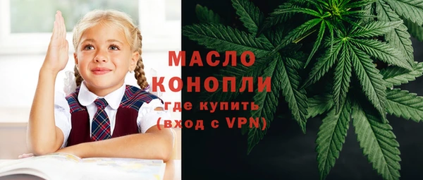 сатива Новокубанск