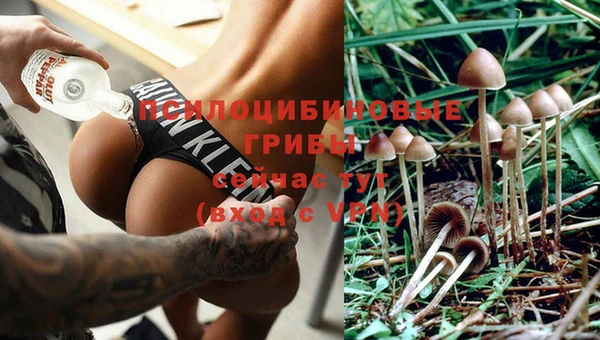 скорость Шарыпово