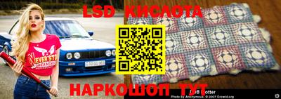 гашик Волжский