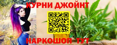 гашик Волжский