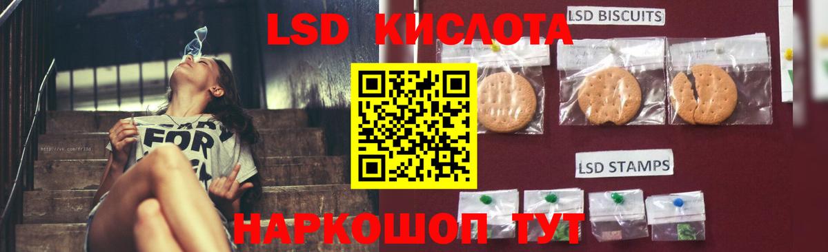 Бошки Шишки Красный Сулин