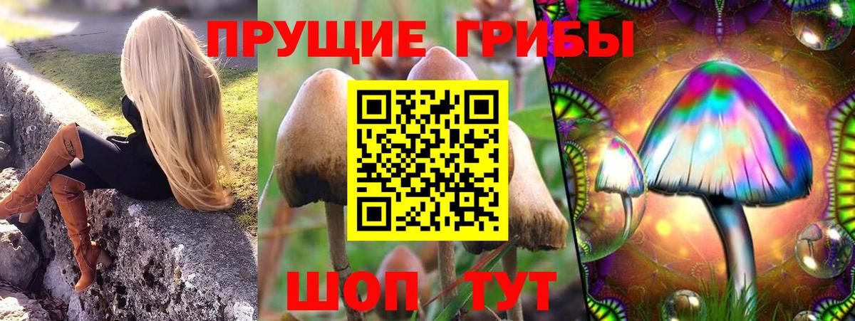 Галлюциногенные грибы мицелий  Галлюциногенные грибы Magic Shrooms  Красный Сулин 