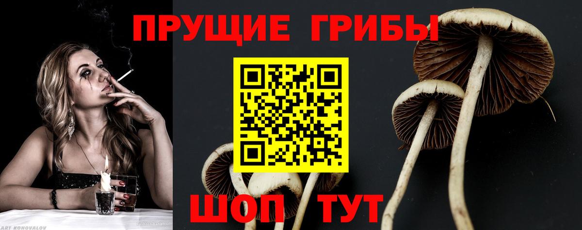 Галлюциногенные грибы мухоморы Красный Сулин